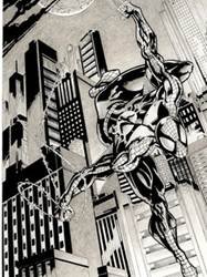 pic for spidy in black & white